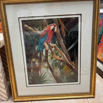 Framed Art