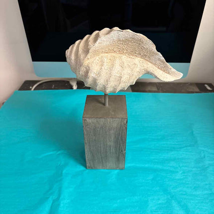 Conch Shell On Stand