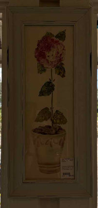 Framed Art