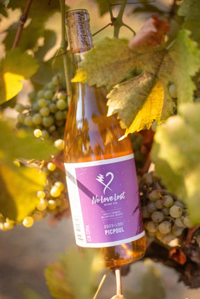 No Love Lost Orange Picpoul bottle