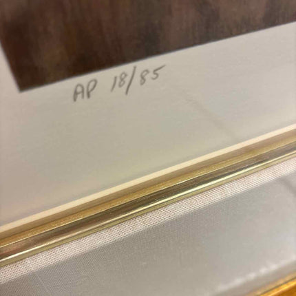 Framed Art