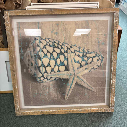 Starfish & Shell Paper Print in Shadow Box – Grape Living