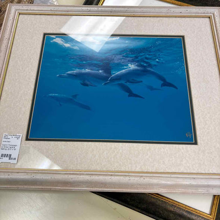 Dolphin Photograph w/ White Frame & Matting