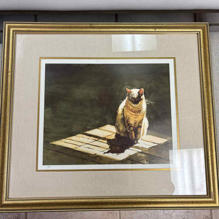 Framed Art