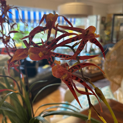 Floral Arrangement In Leaf Vase