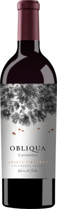 Ventisquero Obliqua bottle