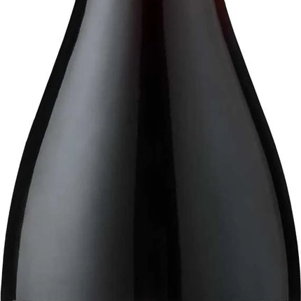 Ventisquero Pinot Noir Reserve bottle