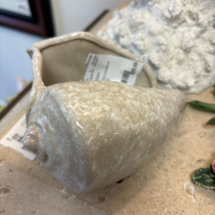 Shell Trinket dish