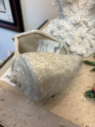 Shell Trinket dish
