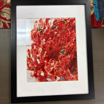 "Red Ones" Photography Print