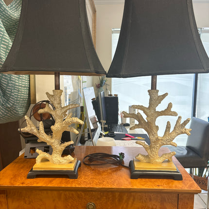 Pair of Coral Lamps