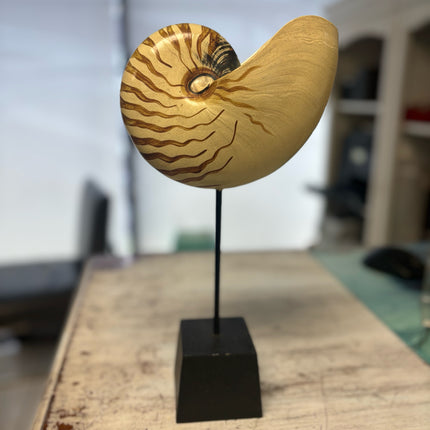 Nautilus figure