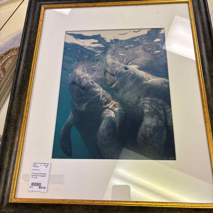 Surfacing Manatees Framed Photograph