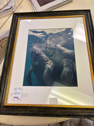 Surfacing Manatees Framed Photograph