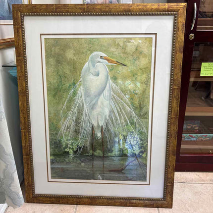 Original Signed Watercolor of Coastal Bird