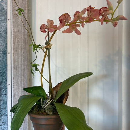 flower Arrangement